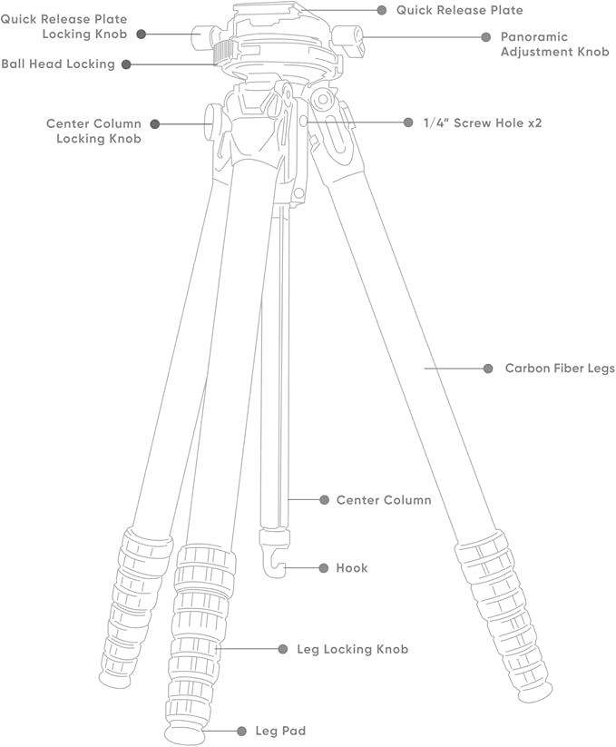 Heavy Duty Lightweight Tripods by foldio foldable studio, Portable Cell Phone & Camera Tripods with Phone Holder, for iPhone, Android, Tripod for Photo Video Shooting (Travel Tripod - Carbon)