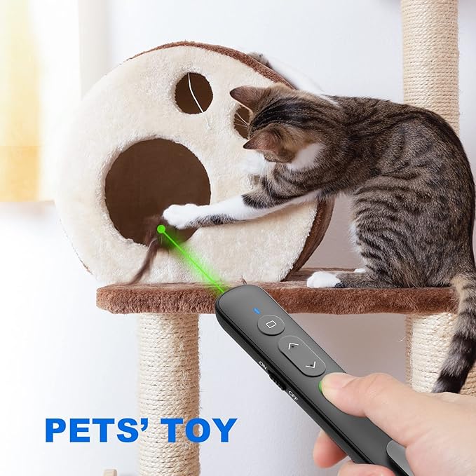 Presentation Clicker PowerPoint Wireless Presenter Remote: Rechargeable Green Laser Pointer Clickers USB A Type C Computer Mac Power Point PPT Slideshow Google Slide Advancer