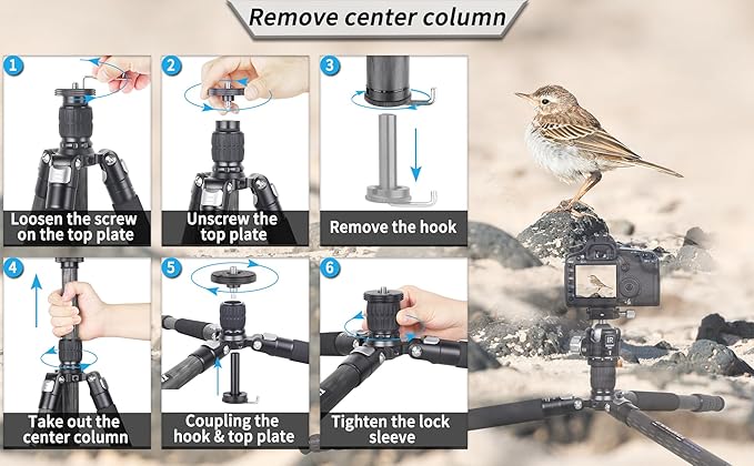 Carbon Fiber Tripod-INNOREL RT75C Super Professional Tripod Monopod Heavy Duty Stand Support Low Gravity Center 360°Panoramic ballhead for Digital DSLR Camera Black