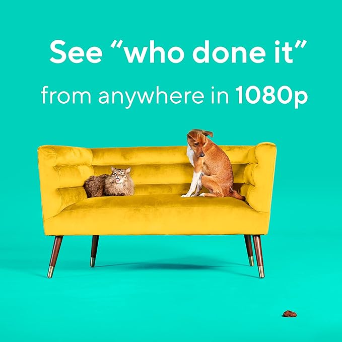 WYZE Cam Pan v2 360° Pet Camera with Phone App PTZ Indoor Smart Security Camera for Dog Cat Baby Elderly Monitoring, 2-Pack