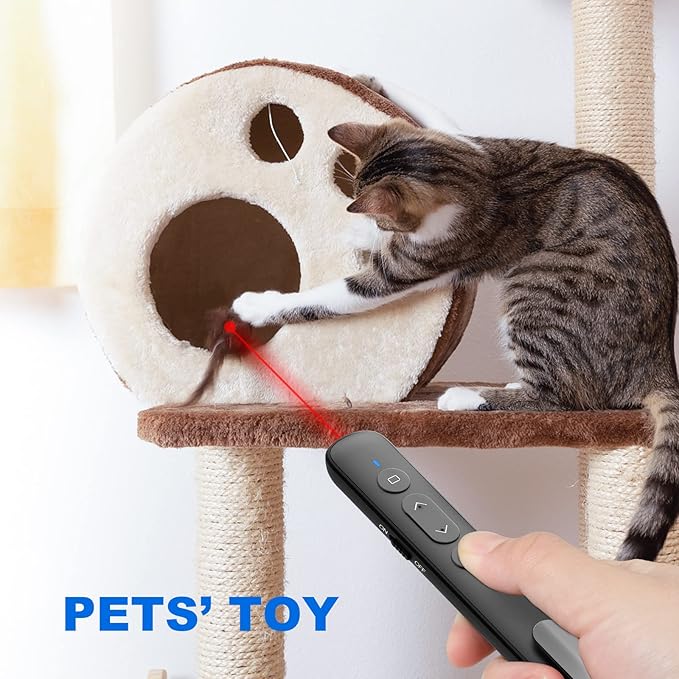 USB-C/USB-A Laser Pointer for Presentation Clicker PowerPoint Wireless Presenter Remote, Google Slide Advancer Projector Smart Board Slideshow Power Point PPT Clicker for Mac/Laptop/Computer/Office