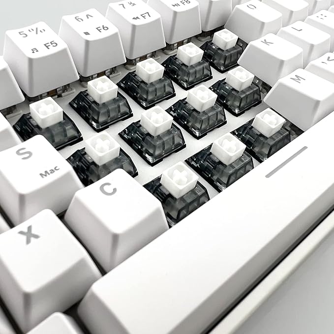 DRAOZA Kailh Box White V2 Switch for Mechanical Gaming Keyboard, 5 Pin Clicky Switch (Box V2 White,108PCS)