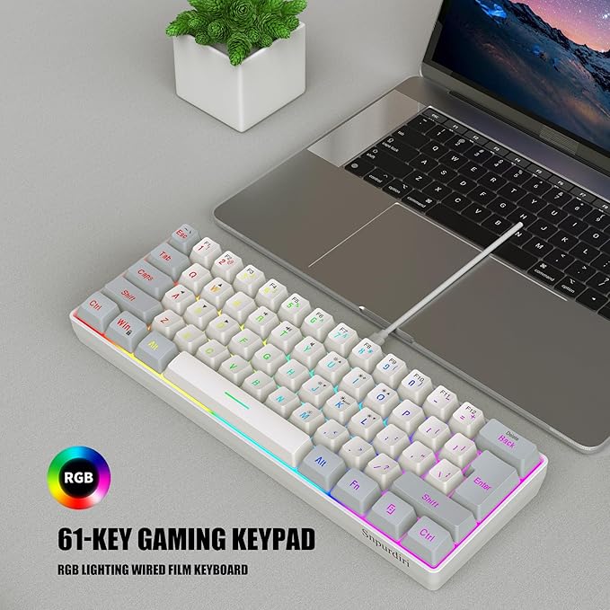 Snpurdiri 60% Wired Gaming Keyboard, 61 Keys RGB Backlit Small Gaming Keyboard for PC/Mac Gamer, Typist, Travel, Easy to Carry on Business Trip(Grey-White)