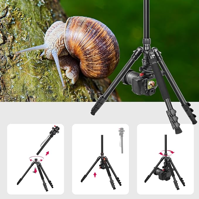 Professional Video Tripod, 68" Camera Tripod Monopod with Fluid Head, Aluminum Heavy Duty Tripod with Carry Bag, Compatible with Canon Nikon Sony and Camcorder, Extra QR Plate and Cellphone Holder