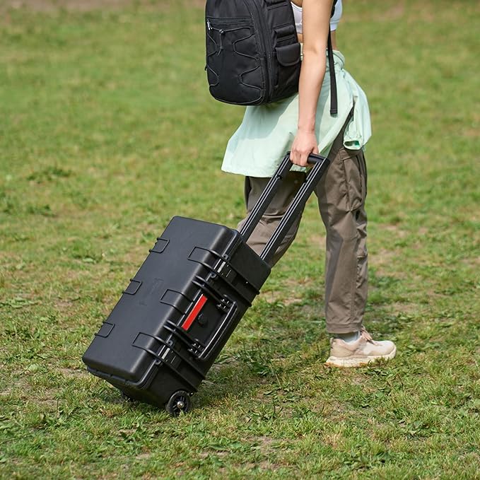 Amazon Basics Hard Camera Case with Wheels, Large, Black, Solid, 22"L x 14"W x 9.8"H