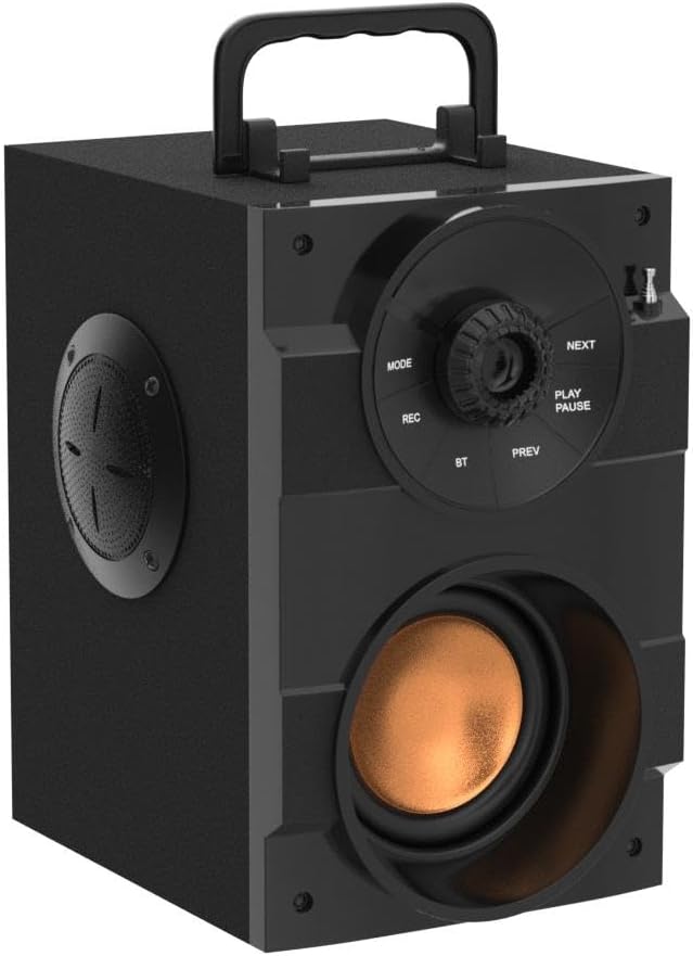 Bluetooth Speaker, 11W Portable Wireless Speaker with Subwoofer, LED Lights, FM Radio, Remote Control, Booming Bass, MP3 Player Powerful Speakers Suitable for Travel, Indoor and Outdoor