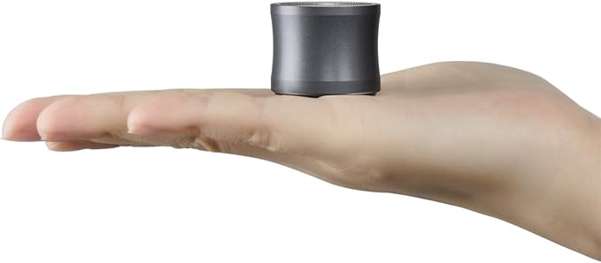 EWA A109mini Bluetooth Speaker with Bass Radiator, Enhanced Bass, Portable Wireless Speaker for Home, Hiking and More - Gray