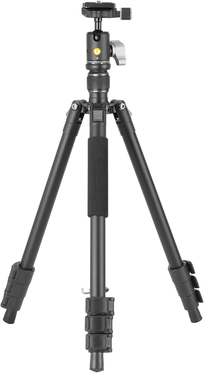 Vanguard Vesta GO 204AB Lightweight and Packable Aluminum Travel Tripod with VEO BH-45 Ball Head