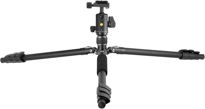 Vanguard Vesta GO 264AB Aluminum Travel Tripod with VEO BH-60 Ball Head