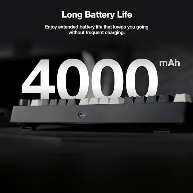 TECWARE Phantom S 75% Gasket-Mounted Mechanical Keyboard w/TFT Display and Knob, Red Switches (Black/Grey) Linear Switch (Red Switch (Linear))