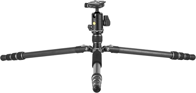 Vanguard Vesta GO 264CB Carbon Fiber Travel Tripod with VEO BH-60 Ball Head