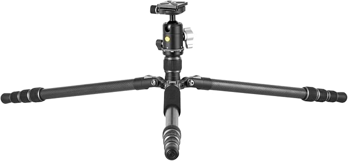 Vanguard Vesta GO 234CB Carbon Fiber Travel Tripod with VEO BH-50 Ball Head