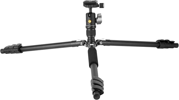 Vanguard Vesta GO 204AB Lightweight and Packable Aluminum Travel Tripod with VEO BH-45 Ball Head