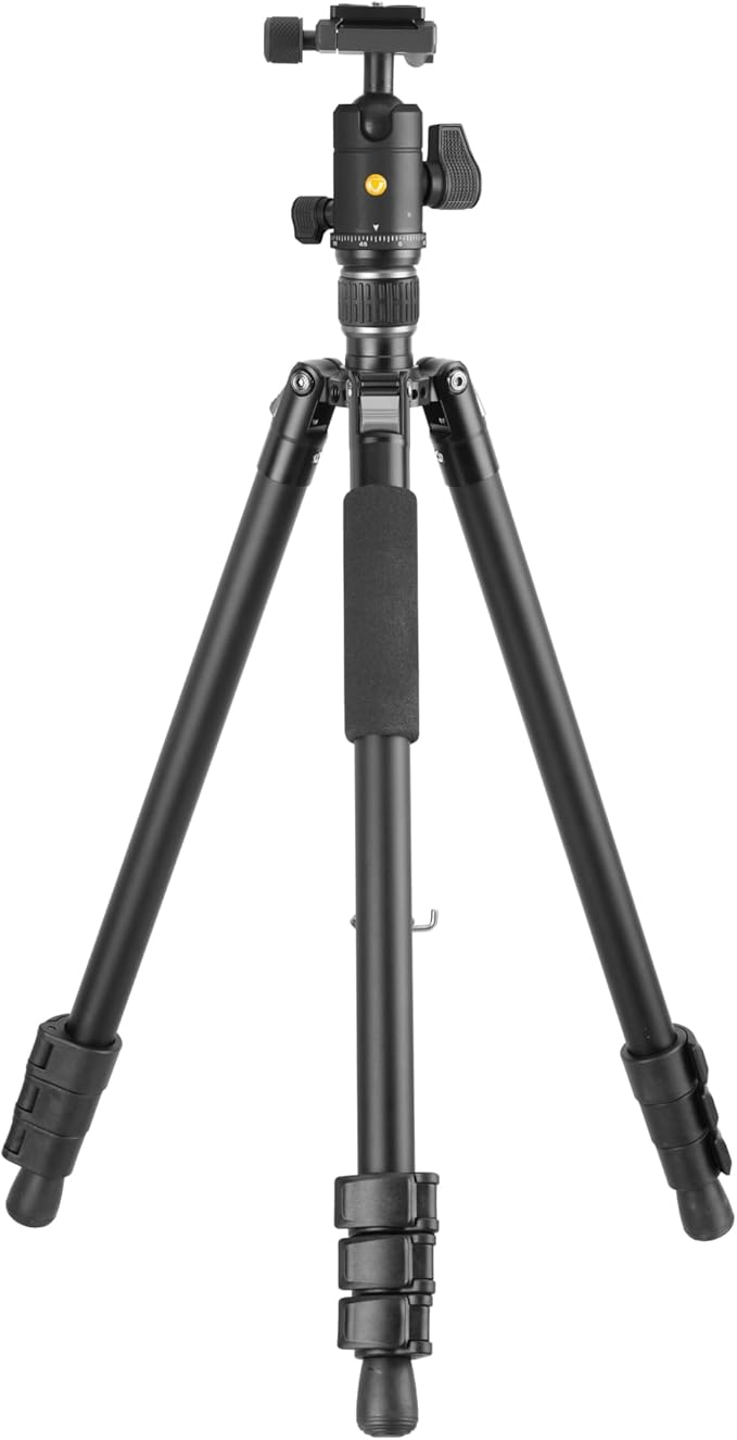 Vanguard Vesta GO 264AB Aluminum Travel Tripod with VEO BH-60 Ball Head