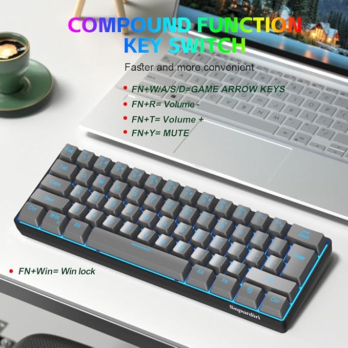 Snpurdiri 60% Wired Gaming Keyboard, RGB Backlit Ultra-Compact 61 Keys 60 Percent Mini Gaming Keyboard for PC/Mac Gamer, Typist, Travel, Easy to Carry on Business Trip(Iron Grey)