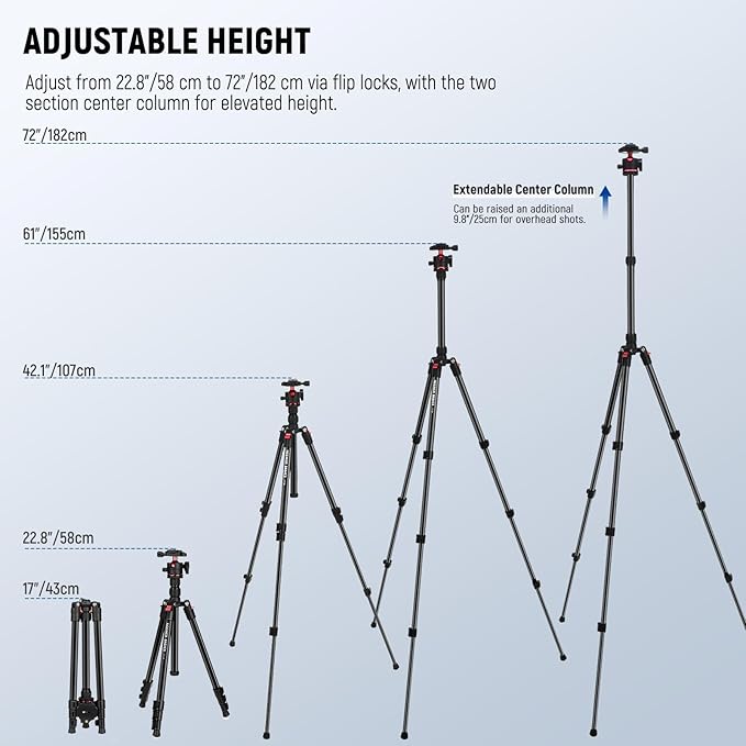 NEEWER Basics Travel Tripod for Camera, 72" Compact Lightweight Portable DSLR Stand, Ball Head, Arca Type QR Plate, Cell Phone Holder Compatible with iPhone Video Recording, Max Load 13.2 lbs, TP14