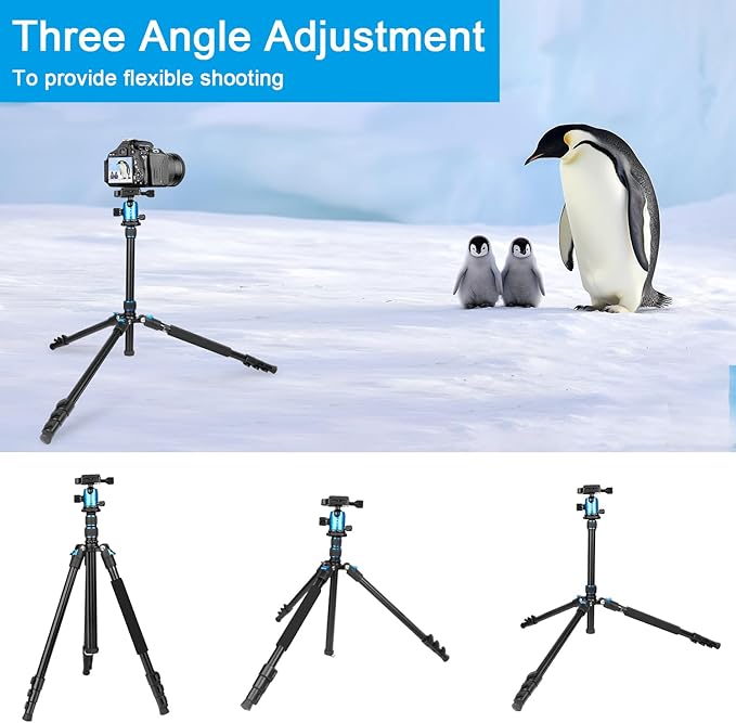 77 inch Camera Tripod Monopod for DSLR, Phone with 360° Panoramic Ball Head Detachable,2 QR Plate, Compact Foldable Aluminum Lightweight Travel Tripod, Bag Included for Camera, Phone(Blue)