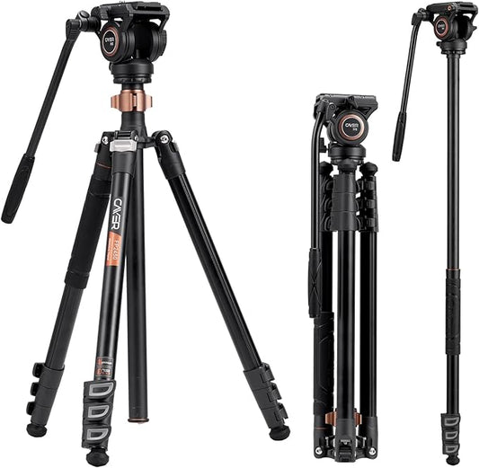 Cayer FP2450 Fluid Head Tripod, 75 inches Aluminium Video Tripod, 4-Section Compact Camera Tripod Monopod with Fluid Head for DSLR Camera, Camcorder, Load Capacity up to 13.2 Pounds