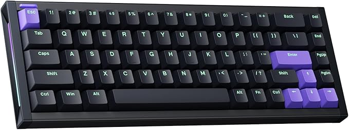 NuPhyX BH65 All-Aluminum Magnetic Switch Hot Swappable Gaming Keyboard,65% 68keys Adjustable Actuation Rapid Trigger Wired Custom Hall Effect Keyboard,PBT keycaps,8K Hz Polling Rate