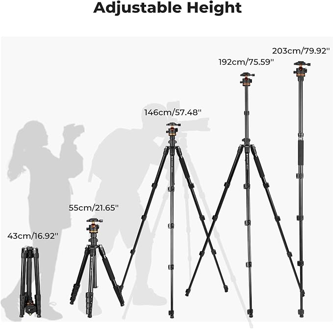 K&F CONCEPT 76" Camera Tripod, Travel Tripod for Camera with 360° Ball Head & Phone Holder, Max Load 17.6lbs, Detachable Monopod, Compact Tripod for DSLR/Smartphone Photography