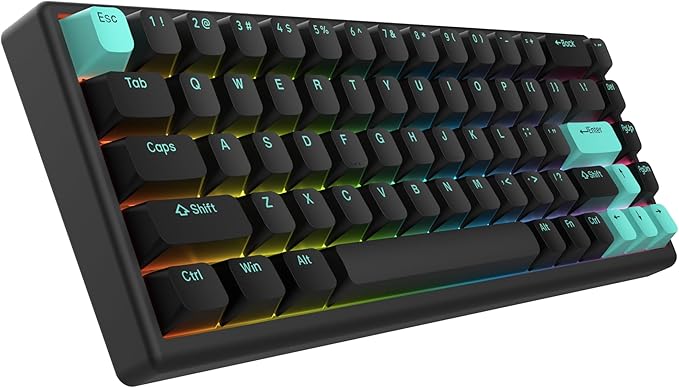 ARBITER Polar 65 - CNC Magnetic Gaming Keyboard w Rapid Trigger, Hall Effect Switches, CNC Aluminum Frame, Rapid Key, 65% Compact, Bright RGB, Dual-Shot PBT Keycaps - Mint Abyss