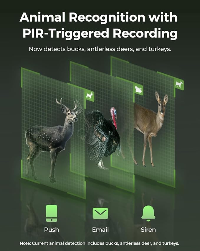 REOLINK 4K 3G/4G LTE 360° Cellular Trail Camera Outdoor 2-Hunting-Cam Bundle - Go Ranger PT Kit+Talon Pro Solar Kit, No-Glow IR, SIM Card Included, Smart Animal Detection, Waterproof for Wildlife