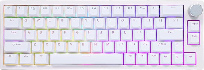 BOYI 66Pro Rapid Trigger Magnetic Switch 65% Mechanical Keyboard,Hall Effect Gasket-Mounted RGB HotSwap Hyper-Fast Adjustable Actuation Wired Compact Gaming Keyboard with Knob(White)
