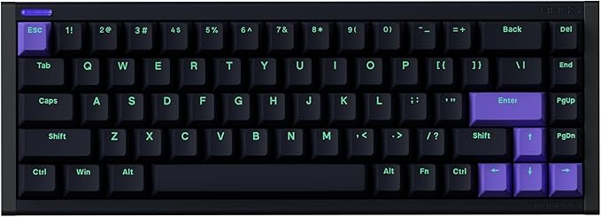 NuPhyX BH65 All-Aluminum Magnetic Switch Hot Swappable Gaming Keyboard,65% 68keys Adjustable Actuation Rapid Trigger Wired Custom Hall Effect Keyboard,PBT keycaps,8K Hz Polling Rate