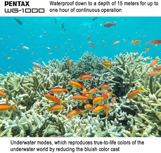 PENTAX WG-1000 Olive Waterproof Digital Compact Camera, Designed for Casual Outdoor and Underwater Photography, Waterproof to a Depth of 15 Meters, for up to one Hour of Continuous Operation