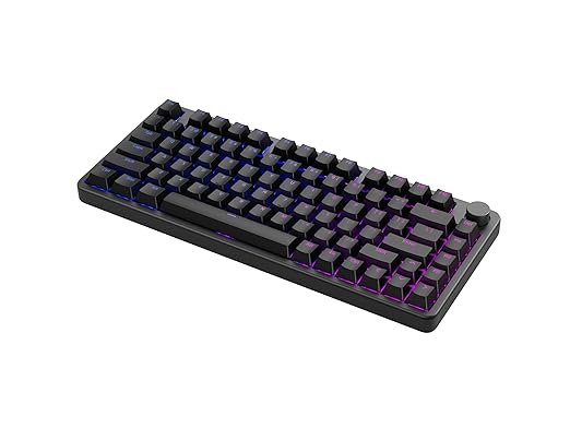 Sony INZONE KBD-H75 75% Wired Aluminum Chassis Gaming Keyboard, Hall-Effect Switch, Rapid Trigger, Adjustable Actuation Point, 8000 Hz Polling Rate, RGB Lighting, Volume Dial