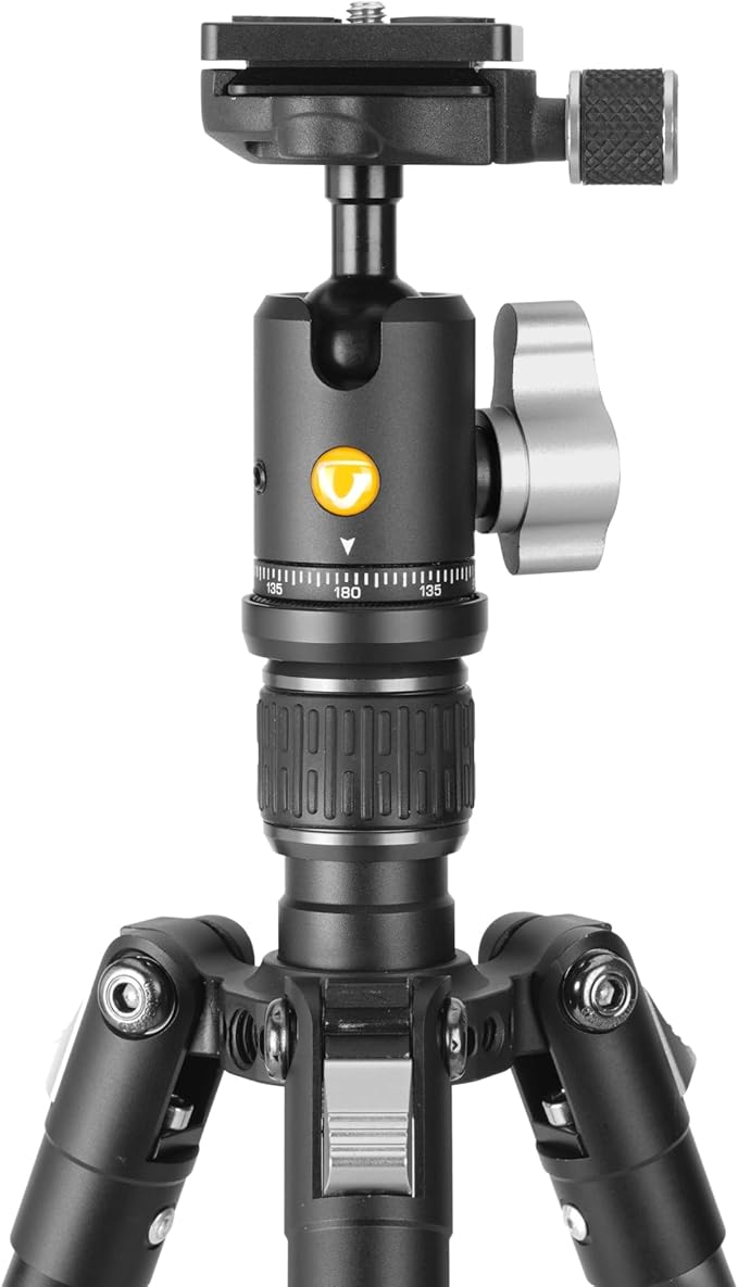 Vanguard Vesta GO 204AB Lightweight and Packable Aluminum Travel Tripod with VEO BH-45 Ball Head