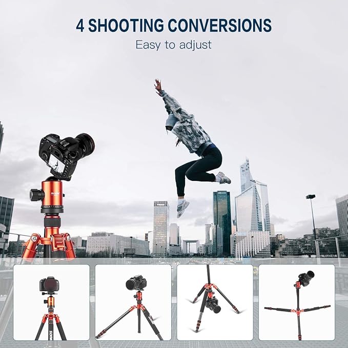 ZOMEI Heavy Duty Camera Tripod Travel Z818 Aluminium Alloy Monopod with 360 Panorama Ball Head Quick Release Plate(Orange)