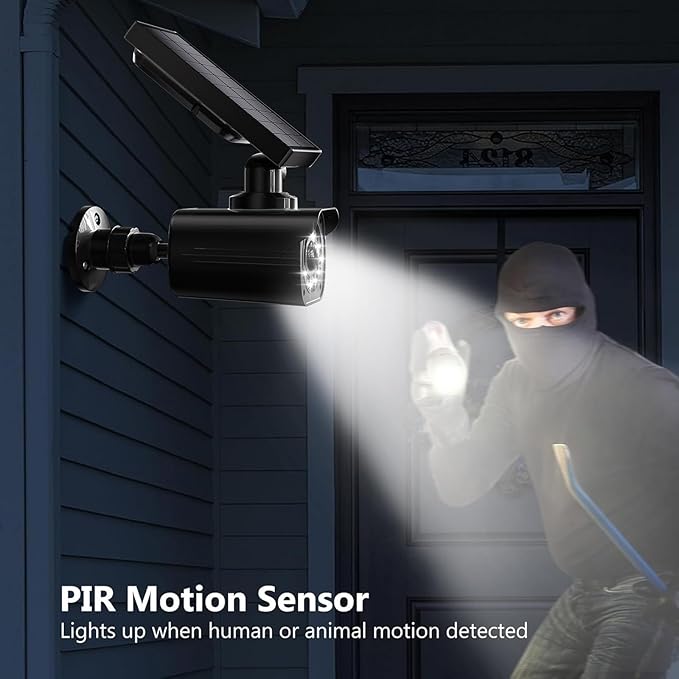 WALI Dummy Fake Camera, Security Camera with Motion Sensor Light, Simulated Surveillance Security CCTV Dome Camera Indoor Outdoor (TCB2-SOL), 2 Packs, Black-Solar