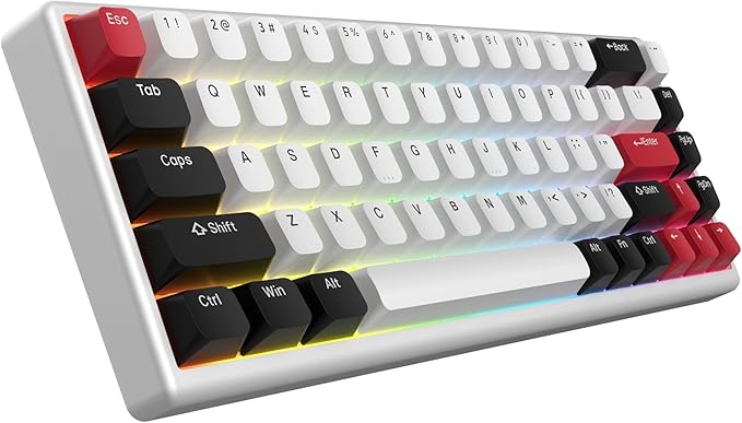 ARBITER Polar 65 - CNC Magnetic Gaming Keyboard w Rapid Trigger, Hall Effect Switches, CNC Aluminum Frame, Rapid Trigger, 65% Compact, Bright RGB, Dual-Shot PBT Keycaps - Ronin Red - Gin