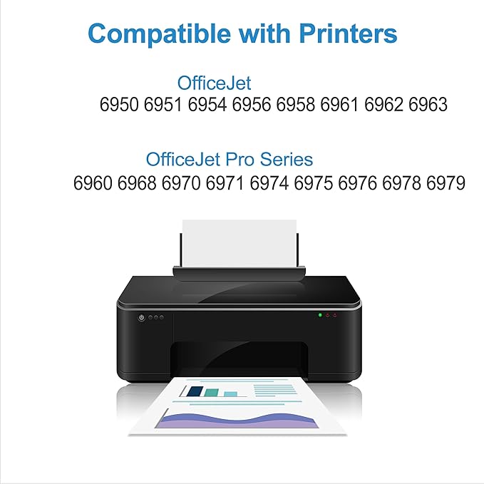 902XL Ink Cartridges Black 2 Pack Compatible for HP 902 XL Fit for OfficeJet 6978 6968 6958 6970 6960 6975 6962 6950 6954 6951 6956 6961 6963 6964 Printers for HP902 HP902XL (Black Ink, 2 Pack)