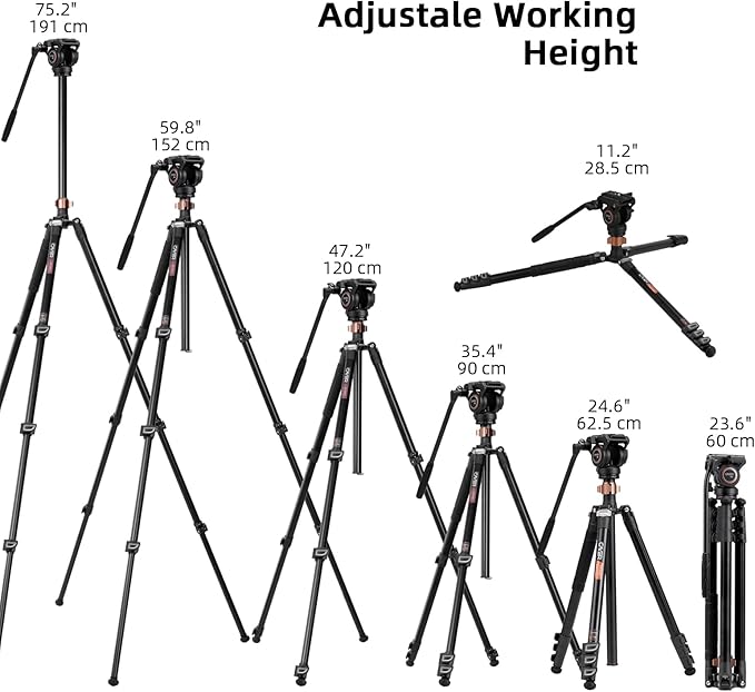 Cayer FP2450 Fluid Head Tripod, 75 inches Aluminium Video Tripod, 4-Section Compact Camera Tripod Monopod with Fluid Head for DSLR Camera, Camcorder, Load Capacity up to 13.2 Pounds