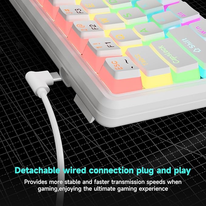 75% Mechanical Gaming Keyboard Wired, 77 Keys Anti-Ghosting, Hot Swappable Red Switch & Ergonomic Design, Rainbow LED Backlit Mechanical Keyboard for PC, Laptop, Gaming, Office