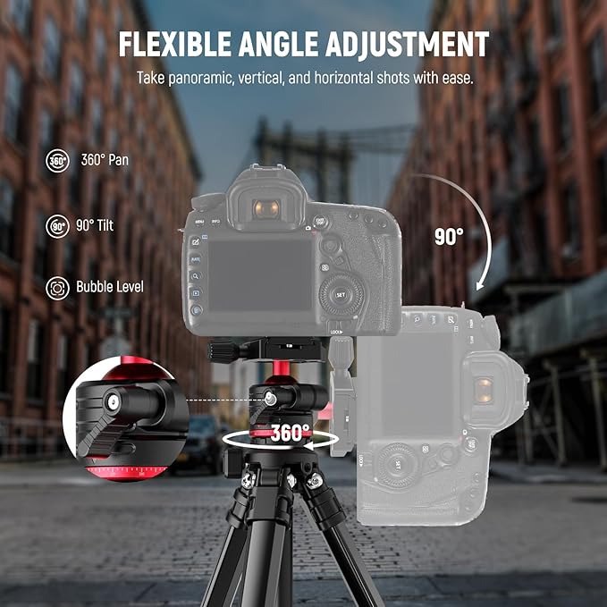 NEEWER Basics Travel Tripod for Camera, Compact Lightweight Portable DSLR Cam Stand with Ball Head, Arca Type QR Plate, Cell Phone Holder Compatible with iPhone Video Recording, Max Load 11 lbs, TP12