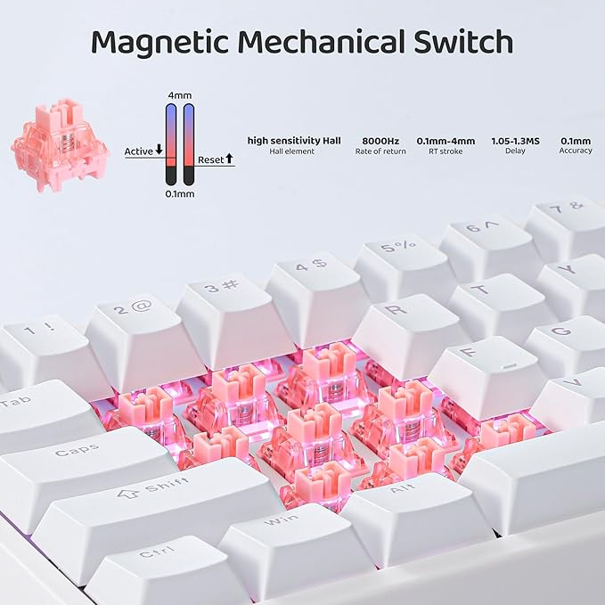 BOYI 66Pro Rapid Trigger Magnetic Switch 65% Mechanical Keyboard,Hall Effect Gasket-Mounted RGB HotSwap Hyper-Fast Adjustable Actuation Wired Compact Gaming Keyboard with Knob(White)