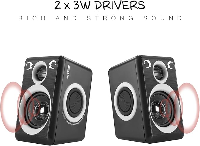 RECCAZR Computer Speakers with Surround Sound 2.0CH USB Wired Powered Multimedia Speaker for Desktop/TV/PC/Laptops/Smart Phone Built-in Four Loudspeaker Diaphragm (Gray)