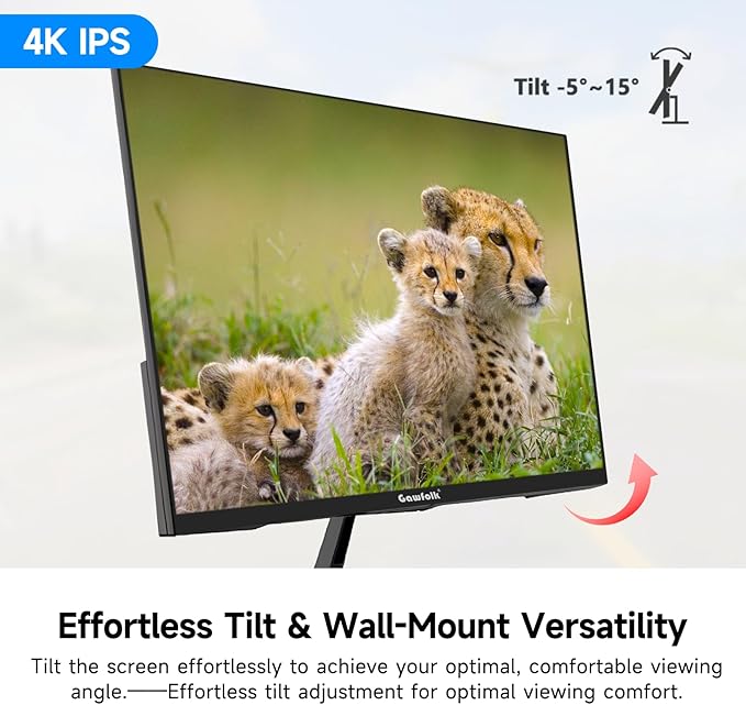 27 Inch 4K Monitor IPS 60Hz, UHD 3840 x 2160p PC Monitors, Computer Dispaly for Home & Office, Support HDMI & DP, Wall Mount Compatible