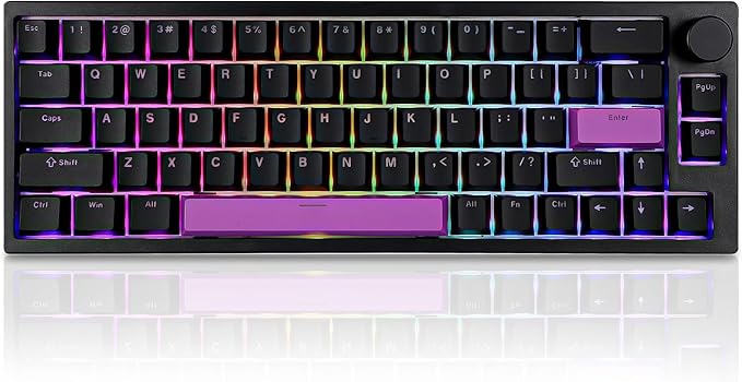 BOYI 66Pro Rapid Trigger Magnetic Switch 65% Mechanical Keyboard,Hall Effect Gasket-Mounted RGB HotSwap Hyper-Fast Adjustable Actuation Wired Compact Gaming Keyboard with Knob(Black)