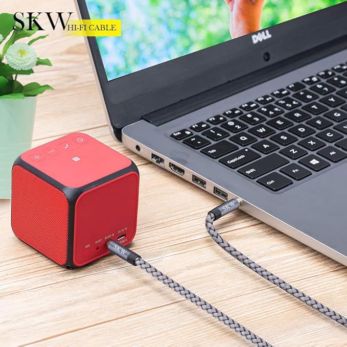 SKW Aux Cable for Car, 3.5mm to 3.5mm Aux Cord/Audio Jack Cable/Headphone Cable for iPhone, iPod, IPad, Echo Dot, Sony & More (Grey, 9.8ft/3M)