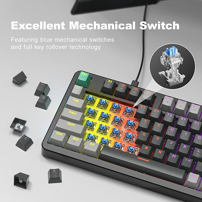 GEEZER Mechanical Gaming Keyboard with LED Backlit, Blue Switch, Volume Knob, 96 Keys Full Size Compact USB Wired Computer Keyboards for Office Windows Laptop PC & Mac Gamer - Grey & Black