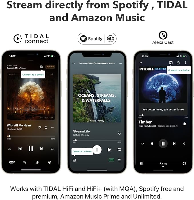 WiiM Pro Plus AirPlay 2 Receiver, Google Cast Audio, Multiroom Streamer with Premium AKM DAC, Voice Remote, Works with Alexa/Siri/Google, Stream Hi-Res Audio from Spotify, Amazon Music, Tidal and More