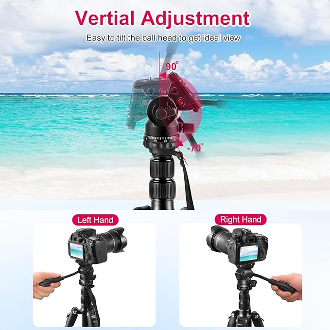 Professional Video Tripod, 68" Camera Tripod Monopod with Fluid Head, Aluminum Heavy Duty Tripod with Carry Bag, Compatible with Canon Nikon Sony and Camcorder, Extra QR Plate and Cellphone Holder