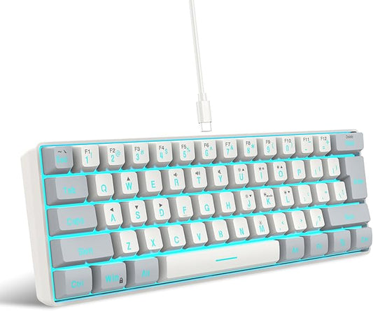 Snpurdiri 60% Wired Gaming Keyboard, 61 Keys RGB Backlit Small Gaming Keyboard for PC/Mac Gamer, Typist, Travel, Easy to Carry on Business Trip(Grey-White)