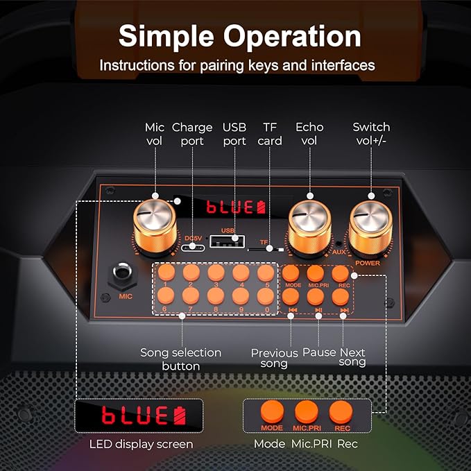 Portable Karaoke Machine with 2 Wireless Microphones for Adults Gifts,5 LED Lights Mode,Outdoor Bluetooth Speakers with PA System for Home,Party,Singing,Classroom,Supports TF/SD/USB/AUX in/FM/REC