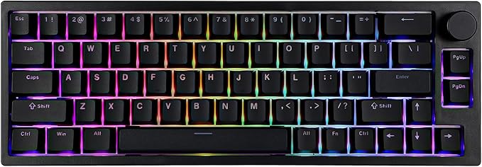 BOYI 66Pro Rapid Trigger Magnetic Switch 65% Mechanical Keyboard,Hall Effect Gasket-Mounted RGB HotSwap Hyper-Fast Adjustable Actuation Wired Compact Gaming Keyboard with Knob(Black)