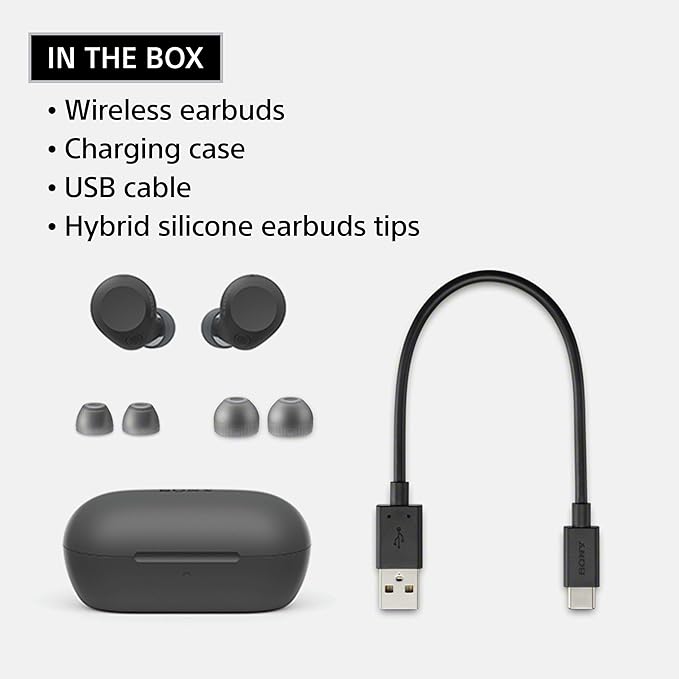 Sony WF-C710N Truly Wireless Noise-Canceling Earbuds with up to 30-Hour Battery Life, Lightweight and Secure, Glass Blue